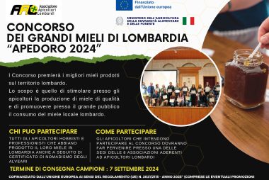 concorso_2024_locandina_page-0001