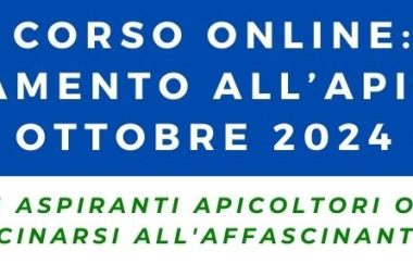 Copia di PROGRAMMA CORSO BASE 2024 – 1