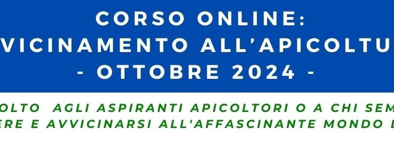 Copia di PROGRAMMA CORSO BASE 2024 – 1