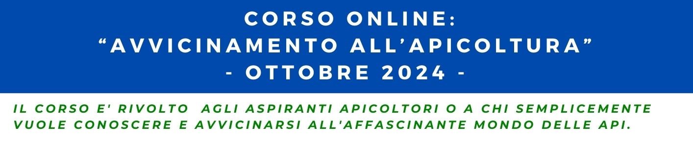 Copia di PROGRAMMA CORSO BASE 2024 – 1