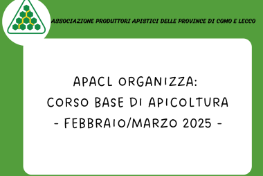 Copia di CORSO ONLINE