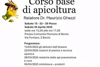 corsoghezzi