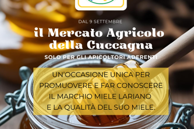 Cuccagna
