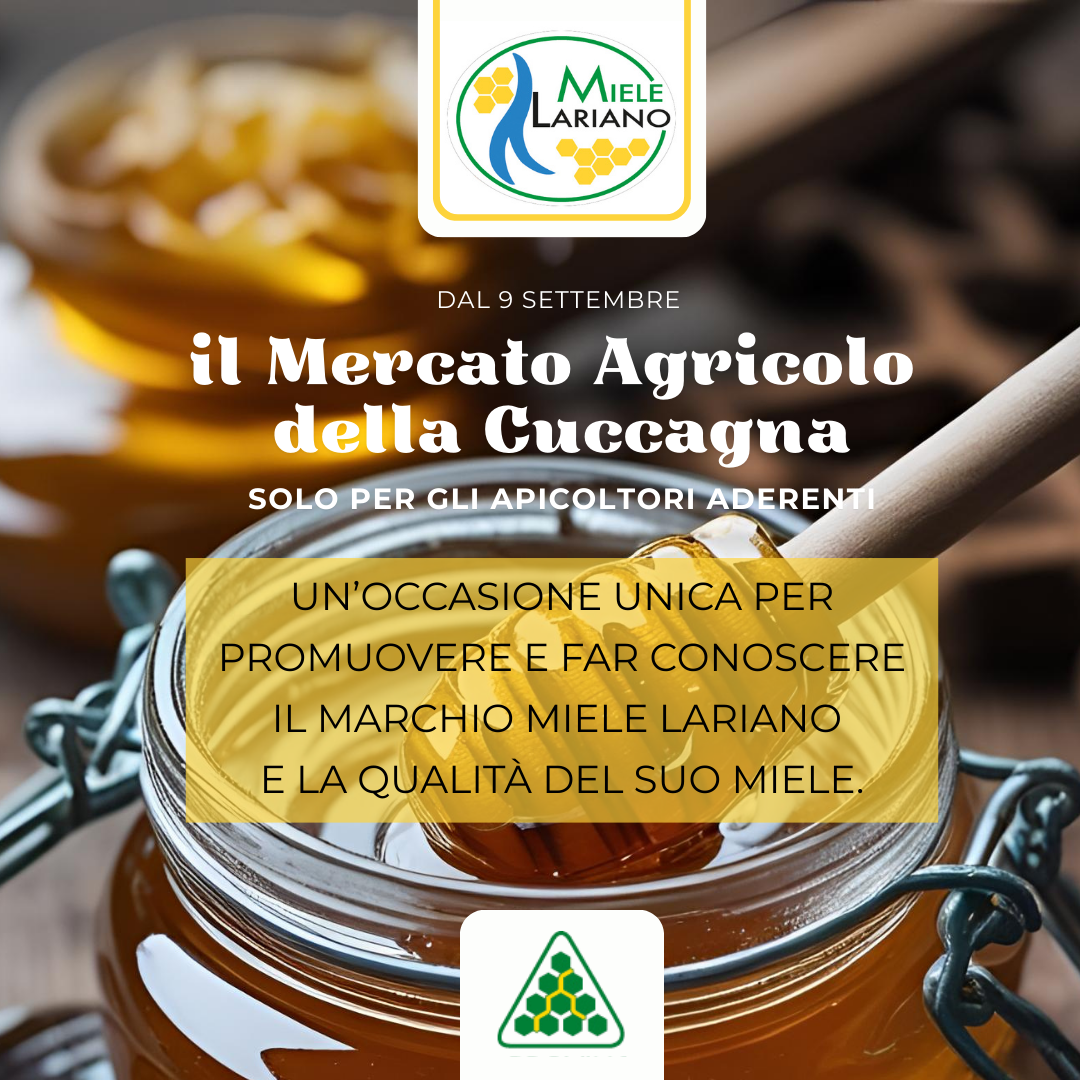Cuccagna