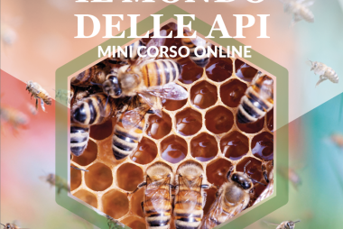 Schermata 2025-09-11 alle 11.45.45
