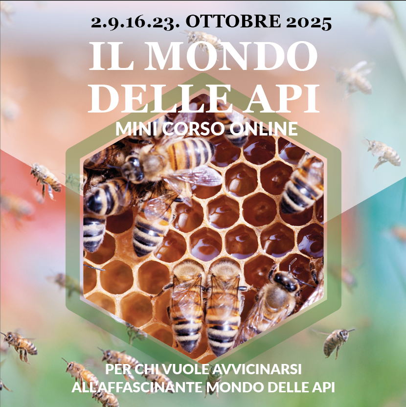 Schermata 2025-09-11 alle 11.45.45