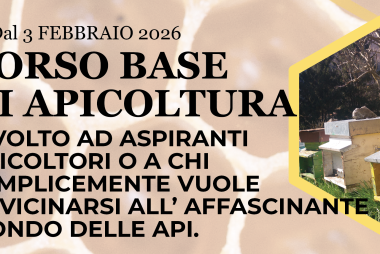 Schermata 2025-12-20 alle 08.14.21
