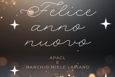 AUGURI ANNO NUOVO 2026